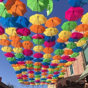 Meet your Posher, Lucy